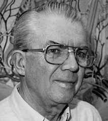 Star light, star bright: