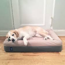 The Casper Dog Mattress In Three Sizes Cool Dog Beds Dog Bed Dog Mattresses