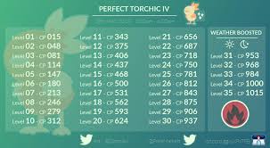 Perfect Torchic Iv For Upcoming Community Day Thesilphroad