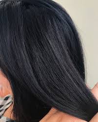 1 10 Blue Black Hair Color For Black Hair Hair Levels Blue Black Hair Color