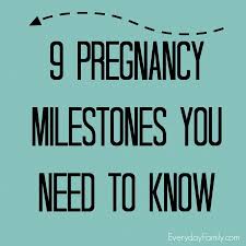 9 Pregnancy Milestones You Need To Know Everydayfamily
