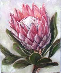 Oilpainting By R Visage Protea Art Flower Painting Flower Art