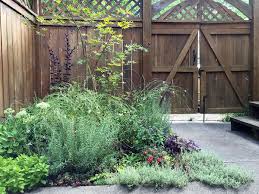How I Grew The Lush Garden Oasis Of My Dreams In 30 Square Feet Garden Oasis Garden Planning Lush Garden
