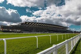 Royal ascot 2021 will unavoidably look and feel different but i would like to assure you that everyone at ascot is dedicated and committed to ensuring that those who are able to attend have a most. Royal Ascot 2021 The Early Favourites For The Queen Anne Stakes
