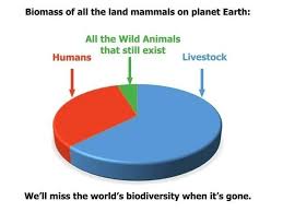 The Ongoing Onslaught Of Non Human Animals Huffpost