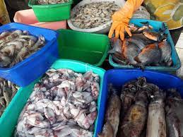 Karunia seafood depot ikan laut kabupaten banyumas jawa tengah daftar nama perusahaan perikanan iswadi berikut ini source : Berburu Ikan Segar Di Pasar Ikan Mina Usaha Jetis Cilacap Jawa Tengah Bambang Irwanto Ripto
