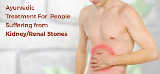 Ayurvedic Treatment For People Suffering From Kidney Renal Stones