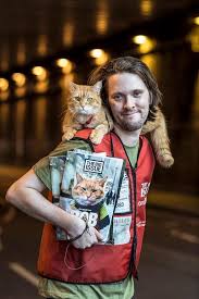 un gato callejero llamado bob cinco razones para leerlo street cat bob a street cat named bob cats and kittens