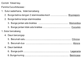 Maybe you would like to learn more about one of these? Soal Kunci Determinasi Tumbuhan Kls X Jawabanku Id