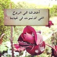 اجمل الكلمات و العبارات عن الاخلاق في صور instagram posts photo quotes novelty sign