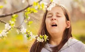 Hospital Pediátrico Universitario de Centro Habana (@hpchabana) • Facebook