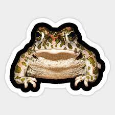 We always hope you're going to follow along with us so we can draw together. Frog Scientific Realistic Drawing Biology Amphibian Shirt Frog Scientific Drawing Biology Art Aufkleber Teepublic De