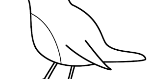 Mau membuat sketsa gambar burung lovebird? 80 Gambar Burung Sederhana Gambar Pixabay
