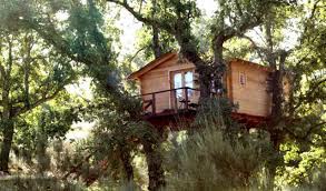 Catie se encuentra a 17 km del camping. Las Mejores Cabanas En Los Arboles Para Dormir En Espana La Espiga Digital