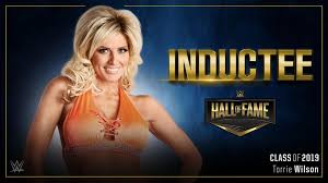 Image result for Torrie Wilson