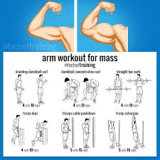 Pin By Girls Favourite On Workout Biceps Workout
