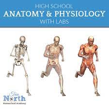 Anatomy And Physiology True North Homeschool Academy