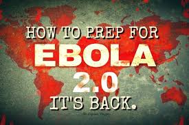 Stability of ebola virus in infected nonhuman primate blood under different environmental conditions top. It S Back How To Prep For Ebola 2 0 The Organic Prepper Survival Quotes Ebola Prepper