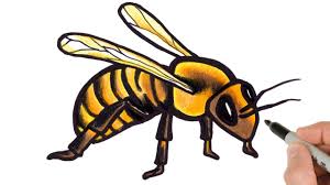 So, what you're saying is that bumblebees are the cats of the insect realm? How To Draw A Realistic Bumble Bee Easy Drawing And Coloring For Beginners Youtube