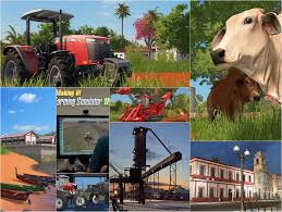 Farming Simulator 17 Platinum Add-On v 1.0