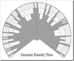 The Ancestry Insider Ancestrydna Byufhgc