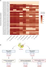 Image result for bioinformatics heatmap