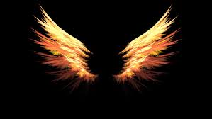 Check spelling or type a new query. My Guardian Angels Wings Phoenix Wings 1136x640 Download Hd Wallpaper Wallpapertip