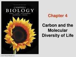 Beli koleksi campbell biology online lengkap edisi & harga terbaru august 2021 di tokopedia! Carbon And The Molecular Diversity Of Life Ppt Download