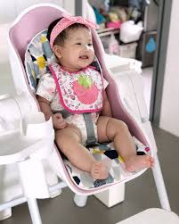 The Gorgeous Pink Oribel Cocoon High Chair High Chair Chair Baby High Chair