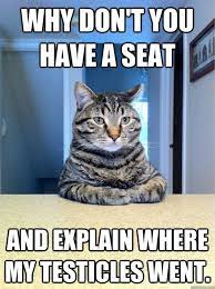55 Funniest Cat Memes Ever Will Make You Laugh Right Meow Funny Animals Cats Funny Cats