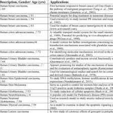Check spelling or type a new query. Pdf Applications Of Cell Lines As Bioreactors And In Vitro Models