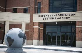 Image result for Disa eminii