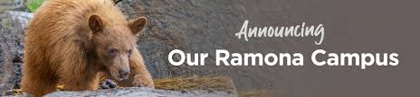 Maybe you would like to learn more about one of these? Announcing Project Wildlife Ramona San Diego Humane Society