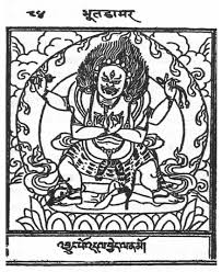 Image result for Vahadenia