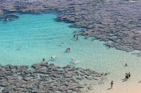 The beach and surrounding natural park get their name from two hawaiian words: Extended Hanauma Bay Snorkeling Tours Hanauma Bay Tours