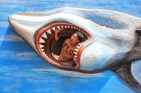 Kehadiran wahana surya menjadi alternatif wisata baru yang menguntungkan ba masyarakat bengkulu yang membutuhkan tempat rekreasi baru untuk bersantai.wahansurya juga menjadi ikon wisata baru bagi bengkulu.penting untuk mengetahui bagaimanpenilaian para pengunjung yang pernah mengunjungi wahana surya agar pihak wahansurya mampu lebih memaksimalkan pelayanan kepada pelanggan untuk. Welcome November Korban Keganasan Hiu Wahanasurya Bengk Flickr