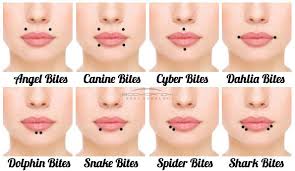 types of lip piercing combinations bites lip piercings