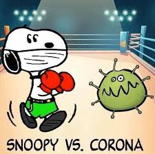 Pin On Peanuts Inspiration