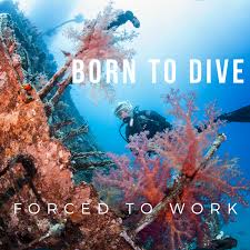Scuba Diving Jobs Work Part Time Or Full Time As A Scuba Diver