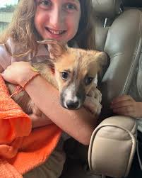 Instagram video by Cari Welsh • Nov 7, 2022 at 2:03 PM