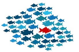 The only thing necessary for the triumph of evil is for good people to do nothing. Anomaly Detection In Finance Sdk Finance