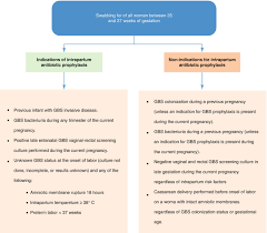Image result for Group B Streptococcus Prophylaxis