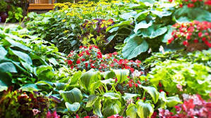 Choose from a wide selection of reasonably priced, professionally designed flowers. Select And Care For Annuals And Perennials