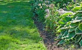 So Bringen Sie Ihre Rasenkante In Form Rasenkanten Gartenumgestaltung Garten