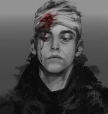 Hayden Sauer (hdnsauer)