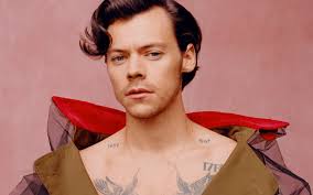 Harry Styles não é tão revolucionário