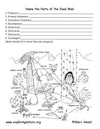Download the food chain facts & worksheets. 27 Activity 6 Food Web Worksheet Answers Worksheet Resource Plans