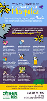 Centerstate banks of florida inc (national commercial banks). Why You Should Be Concerned About Mosquitos Infographic The Other Side Pest Control