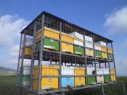 Explorează 97 anunțuri pentru camion apicol vanzare la cele mai bune prețuri. Pavilion Apicol Modular