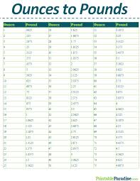 5 Kitchen Conversion Charts For Novice Chefs Kitchen